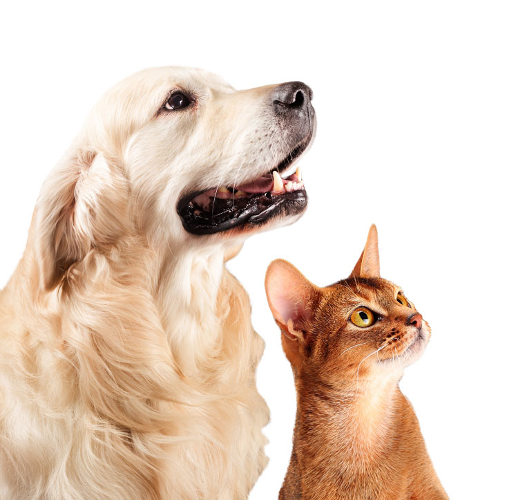 以科學(xué)為核心<br>以天然營(yíng)養(yǎng)為原則