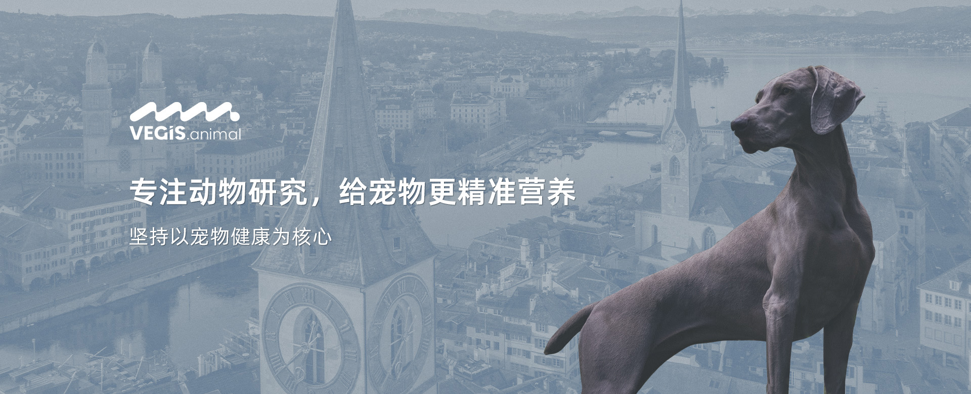 專注動(dòng)物研究，給寵物更精準(zhǔn)營(yíng)養(yǎng)